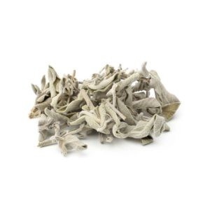 Sauge Officinale