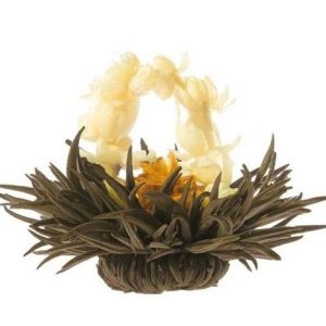 Fleur de Thé "Cercle de fleur"